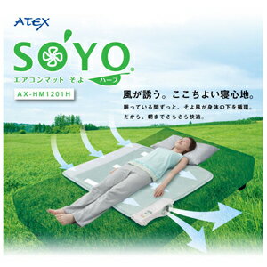 【在庫あり！】エアコンマットそよハーフサイズSOYO 『NHKおはよう日本まちかど情報室で取り上げ人気爆発』【マラソン201302_趣味】【RCP】のサムネイル