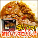 【送料無料！（沖縄除く）】雑穀＆ハバネロカレー180gx10食分【送料無料_spsp1304】【RCP】