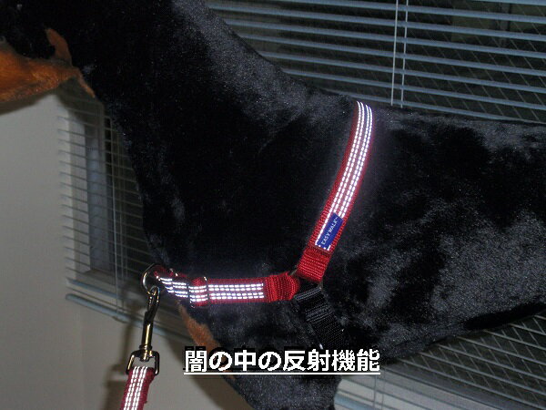 追加入荷がありました。ブラック　Sサイズ【標準価格の1/3】犬の散歩 引っ張り防止 イージーウォークハーネス 反射タイプ