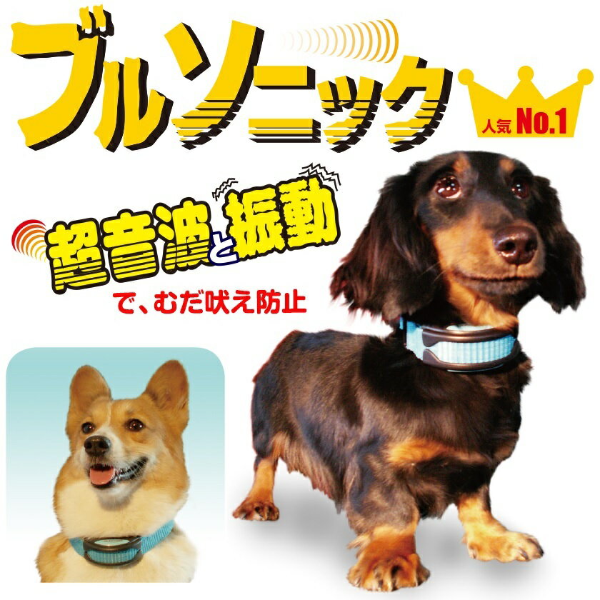 声帯振動で感知する新システム【当店絶対オススメ】犬の無駄吠えをやさしく治せる ブルソニック 優しい方法で無駄吠えを防止 犬に優しい振動と超音波の組み合わせで無駄吠え解消 超軽量なので小型犬でも犬の負担にならない 警告音、振動、超音波など組み合わせることが出来る 1