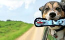 犬のおもちゃ 世界最強のぬいぐるみ タフィ ボーン