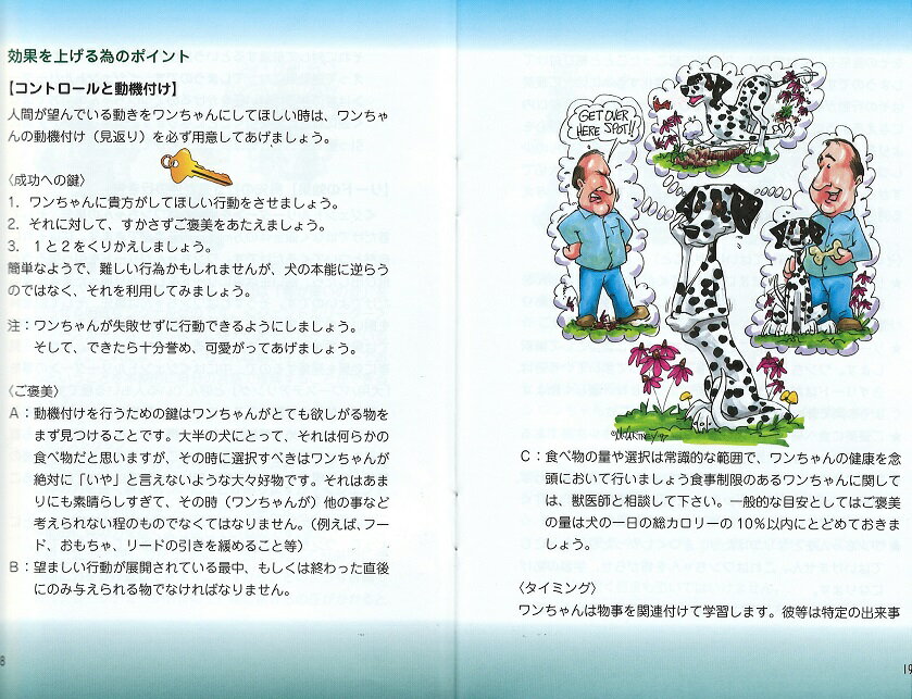 ������ȥ�꡼�����ȥ졼�˥󥰥ϥ�ɥ֥å�