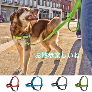 【売れ筋】犬 散歩 引っ張り防止に効果抜群 イージーウォークハーネス デラックス