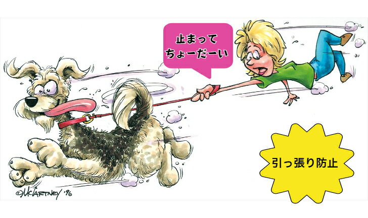 �� ���Ĥ� ������ȥ�꡼�����λȤ������褯ʬ���른����ȥ�꡼���������ƥ�