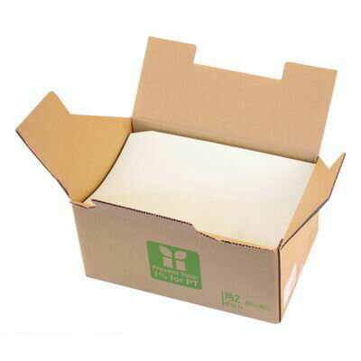 壽堂紙製品工業 02312 カラー上質封筒 角2・500枚 若草