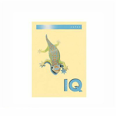 伊東屋 BT501 クリーム バイオトップカラーA4 500枚入 BT501クリーム