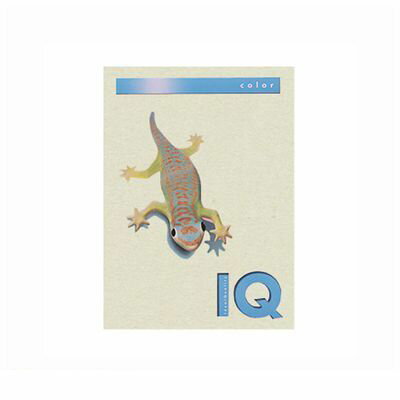 (LINEクーポン有)伊東屋 BT509 グレー バイオトップカラーA4 500枚入 BT509グレー