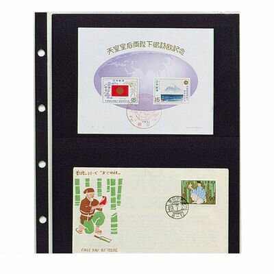 翌日出荷 テージー CA-302S コレクションスペアー2段【10枚】 CA302S【L2D】 コレクションアルバム ス..