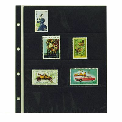 翌日出荷 テージー CA-304S コレクションスペアー4段【10枚】 CA304S【L2D】 コレクションアルバム ス..