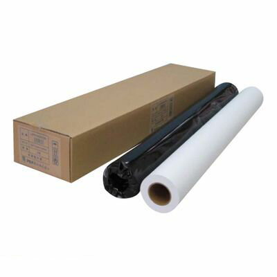 (LINEクーポン有)アジア原紙 IJPR-8450EN 大判インクジェット用紙　普通紙　エコノミ【2本】 IJPR8450EN