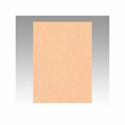 リンテック GO4NCR-103 ニューカラー色画用紙4切100枚 薄橙