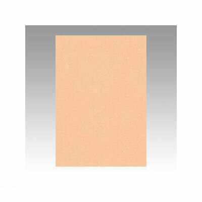 文運堂 8NCR-103 ニューカラー色画用紙8切100枚　薄橙 8NCR103