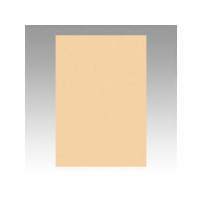 ●鮮やかな色画用紙です。●入数：100枚●八ツ切●横271×縦392mm●JANコード：49540226811114954022681111