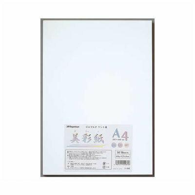 長門屋商店 ナ-964 美彩紙　A3　50P ナ964