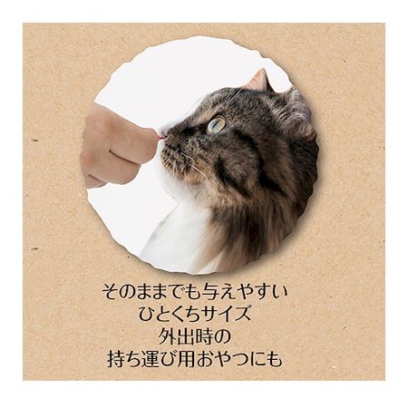 ペティオ 4903588133244 素材そのまま フリーズドライ For Cat ササミ 15g 3