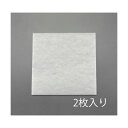エスコ EA997PG-2 【AE−100】500x500x10mm エアフィルター【2枚】【キャンセル不可】(4)