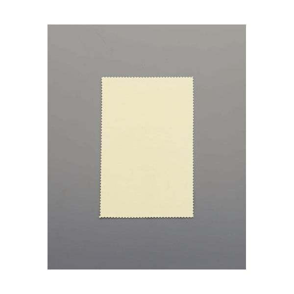 【即納在庫品】「直送」エスコ EA929DA-20 125x195mm 貴金属用磨きクロス EA929DA20【キャンセル不可】