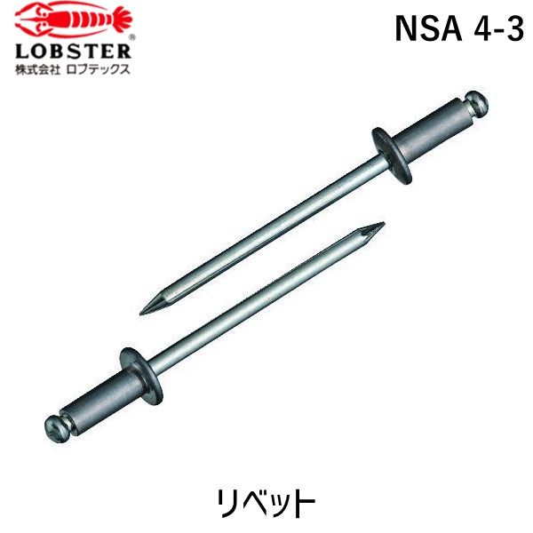 ロブテックス｜Lobtex ブラインドリベット皿頭（1000本入）　アルミ/スティール　4-2　NSA42K《※画像はイメージです。実際の商品とは異なります》