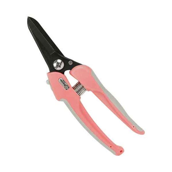 (LINE�����ݥ�ͭ)���ܥƥ� P-33 ���å�����ե���������� P33