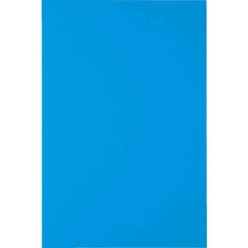 ��¨Ǽ�߸��ʡۡ�ľ���ץȥ饹���滳 TRUSCO MSN2B �ޥ��ͥåȥ����ȱ�̵200X300 ��