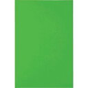 【即納在庫品】「直送」トラスコ中山 TRUSCO MSN2GN マグネットシート艶無200X300 緑