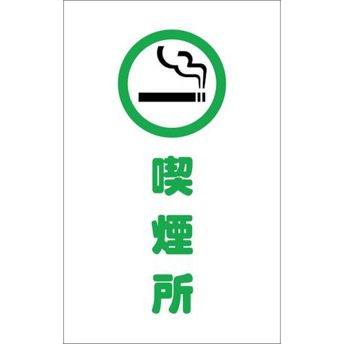 ��¨Ǽ�߸��ʡۡ�ľ���ץȥ饹���滳 TRUSCO TCSS019 �������󥹥�����ѥ����� �ʱ�� 2����