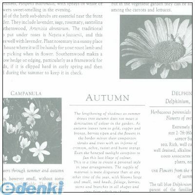   49-1420  ǥ󥰥졼 ȾȽ 491420 åԥ󥰥ڡѡ եȥåԥ  åԥ  ...