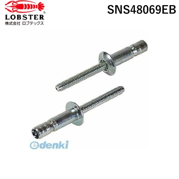 【即納在庫品】「直送」株 ロブテックス SNS48069EB 高強度ブラインドリベット Sボルト 丸頭 Φ4．8／板厚6．9mm 100本入
