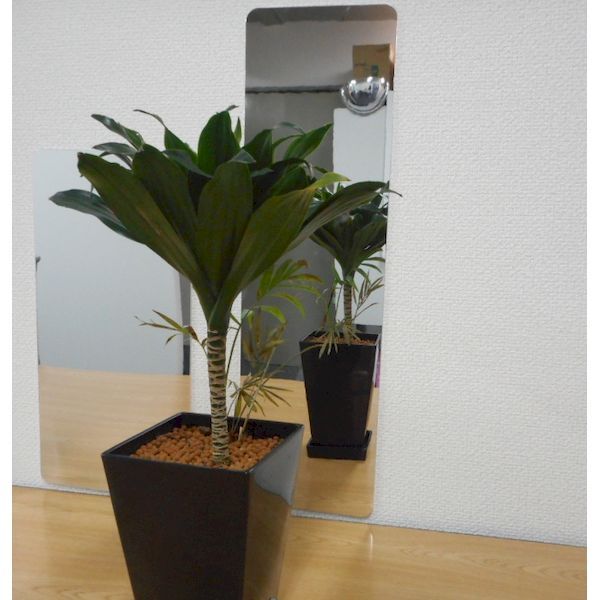 信栄物産 PET-5917 割れないミラー 吸着シート付 角型 サイズ:175×595×19mm [2]