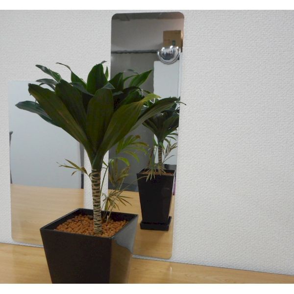 信栄物産 PET-5917 割れないミラー 吸着シート付 角型 サイズ:175×595×19mm [3]