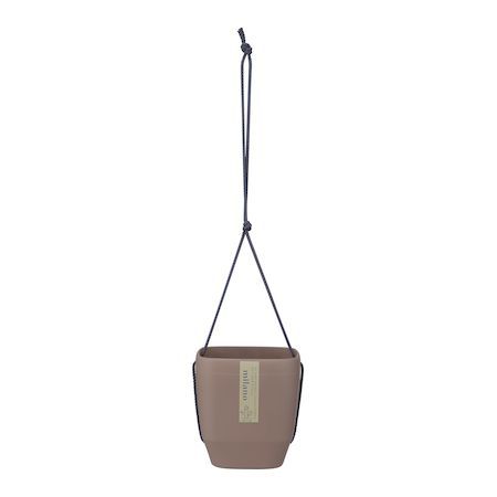 (LINEクーポン有)アップルウェアー 4905980122550 トッピングPOT 3寸用モカブラウ...