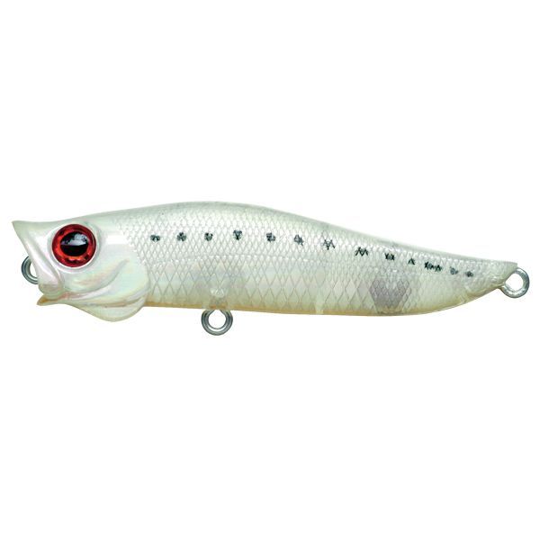 㥯 Jackson 4511729225040 RAݥå 70mm CLS 饹ڥ󥻥Բġ