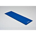 トーエイライト TOEI LIGHT 4518891259057 エクササイズマット6折 H7258(4)