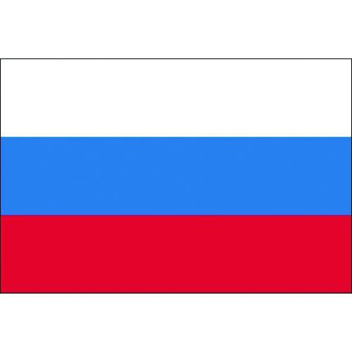 (LINEクーポン有)【即納在庫品】「直送」東京製旗 406871 卓上旗 16×24cm ロシア