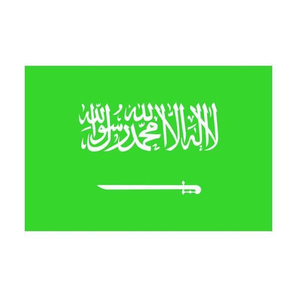 【あす楽対応】 直送 東京製旗 426302 国旗No．2 90 135cm サウジアラビア