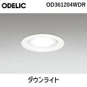 OD361204WDR ダウンライト