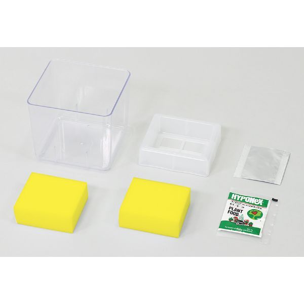 �����ƥå� ArTec 102967 ��̺��ݥ�˥å� �٥ӡ����ޥĥ�