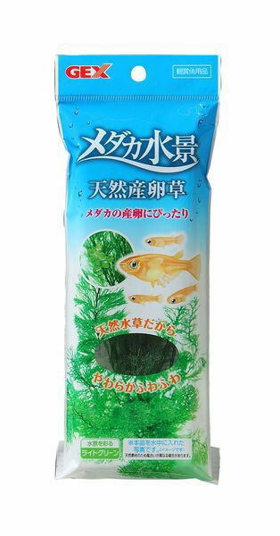 【商品説明】●天然素材天然シダを染色して乾燥させた、魚に優しい天然水草です。●メダカの産卵に最適柔らかい素材のため、メダカが卵を産み付けるのに最適で、おもり付なので簡単に移動することができます。●お手入れ不要天然シダを加工しているので、手間がかからず、いつまでも美しさを楽しめます。●材質：プランツ部分/天然藻、オモリ部分/鉛●原産国または製造地：中華人民共和国●諸注意・淡水専用です。海水には使用できません・色落ちや飼育水が着色される場合がありますが、生体には影響ありません・天然の素材を使用しているため、サイズや形状にバラつきがありますが、ご了承ください。また異物が付着していることがありますペット 用品 グッズ 魚 観賞魚 アクアリウム 水草 浮き草 産卵 草 メダカ 天然 小