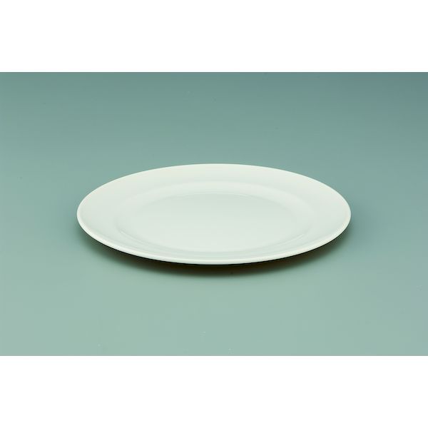 翌日出荷 直送 代引不可・他メーカー同梱不可 イ...の商品画像