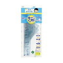レイメイ藤井 APJ409 先生おすすめ定規セット