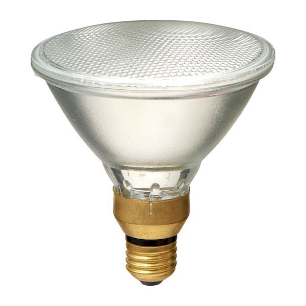 (LINEクーポン有)朝日電器 ELPA EBRF110V65W ハロゲンビームランプ散光65W