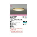 I[fbN ODELIC OL291565BR LEDV[OCg