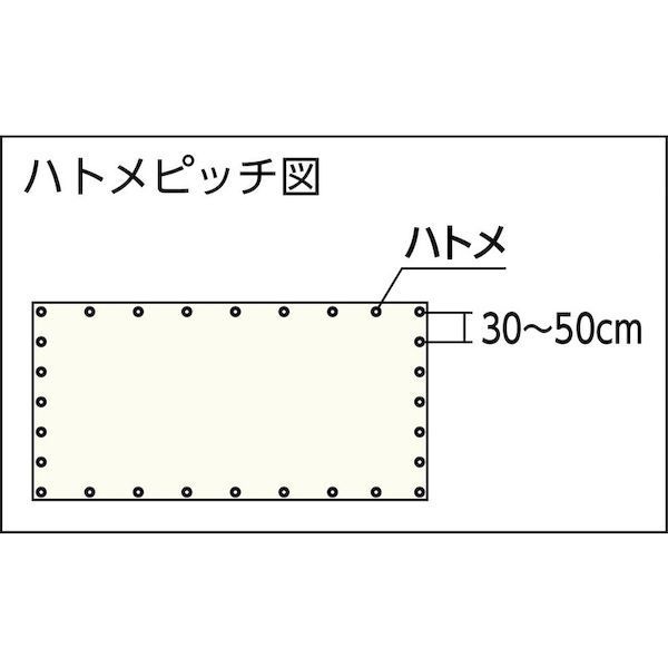 【即納在庫品】「直送」トラスコ中山 TRUSCO GBS-1854A 防炎シートα軽量 幅1．8mX長さ5．4m GBS1854A 2