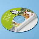 サンワサプライ LB-CDR001N インクジェットDVD/CDラベル(内径41mm・つやなしマット・20ラベル)
