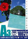 オーム電機 00-5544 ラミネートフィルム 100μ A3 100枚