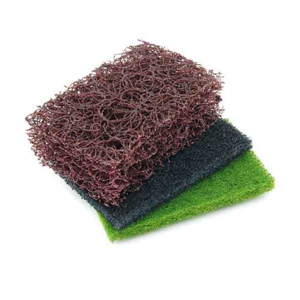 iDECAŷԾŹ㤨4977292804615 ϽåBŴ 4977292804615 ƣ ʥ󥿥亮 γ  ȹ Ŵ 繩ƻ ʤפβǤʤ517ߤˤʤޤ