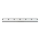 レイメイ藤井 APJ281W 見やすい白黒定規 30CM 白