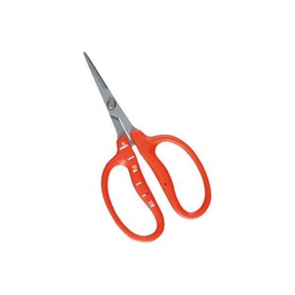 翌日出荷 直送 代引不可・他メーカー同梱不可 近正 4967645013535 BP ステンフッ素ぶどう鋏 B-500SLF L型【キャンセル不可】