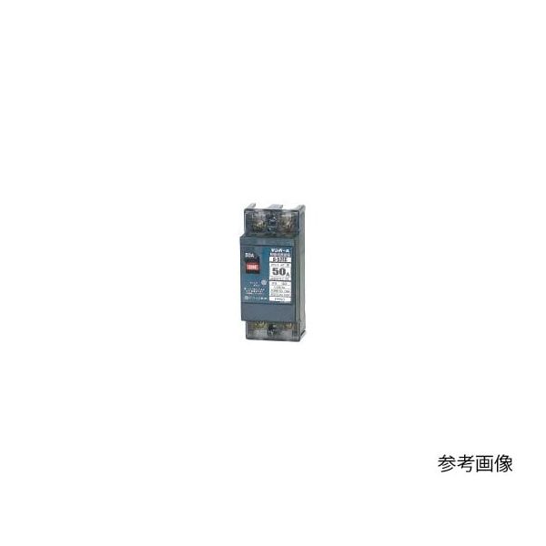 (LINEクーポン有)翌日出荷 テンパール工業 B-52EC 30A 配線用遮断器 B52EC30A