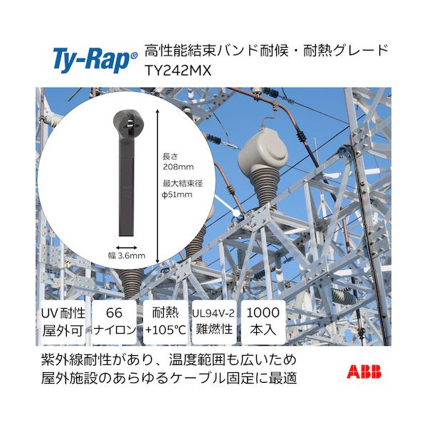 TY��Rap TY242MX ����ǽ�����֥륿�� ��«�Х�� �Ѹ�����Ǯ���졼�� ���� ���� ��3��6XĹ��208mm1000������